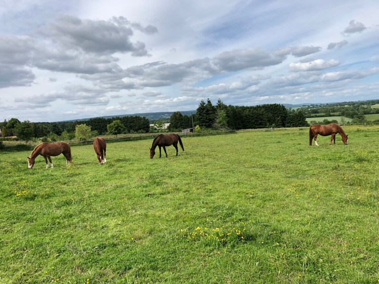 D1BB15B7-67E1-430E-849E-E17A7CDE3124