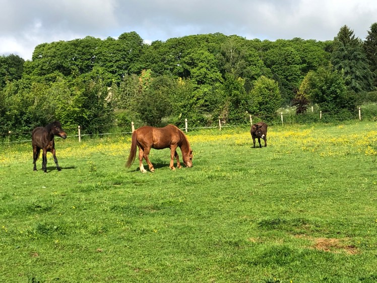 D85D6F22-8CD4-4760-BABD-E9ED1A266E7D