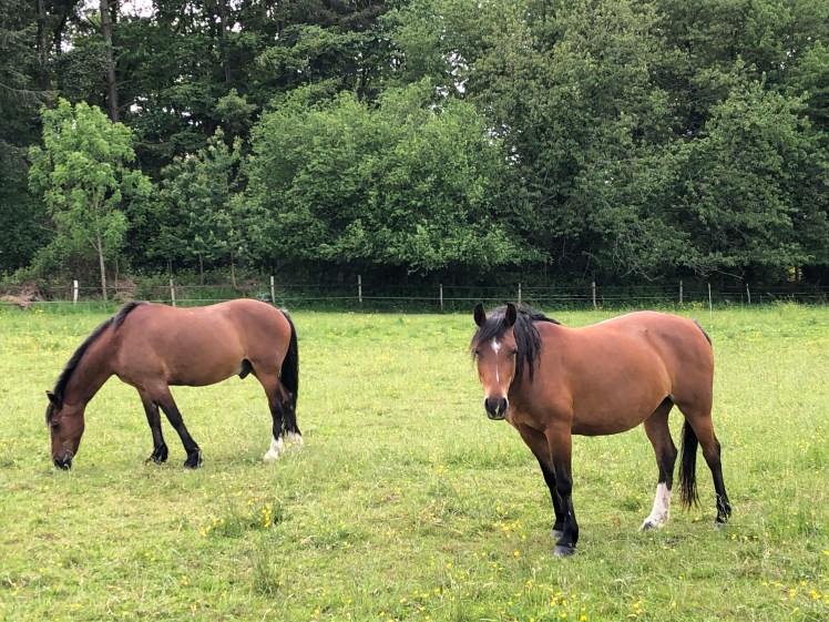 F75943F2-B761-4373-8836-5F57CA5ED53C