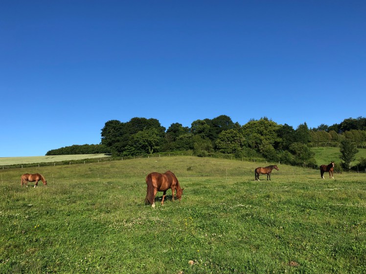 00B8F0F9-AABE-44EC-9F15-855BFA1F9028