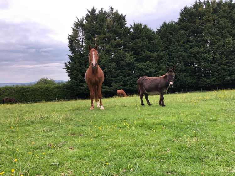 02C72AB8-393F-425E-B3C6-A27EA6F3BFB9