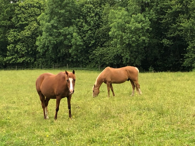 19F4579B-D65E-4159-A29B-BC5A63723D3C