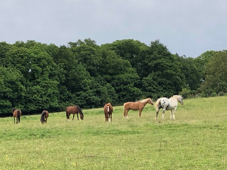 1B669CB3-9A1C-492C-A346-6BA304394035