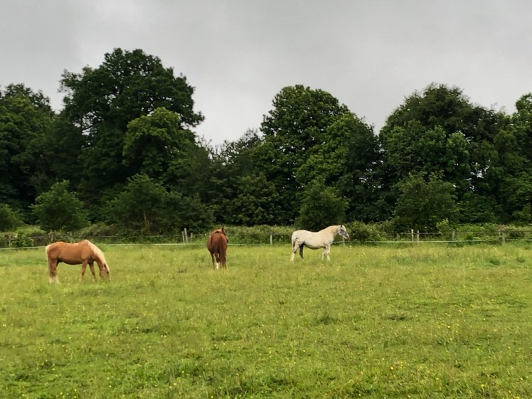 287E48C8-ABDE-4495-9CDD-AF0470D51992