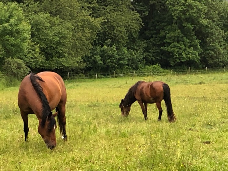 3391EB48-DC36-4D5C-AE40-FD93AED7BBF9