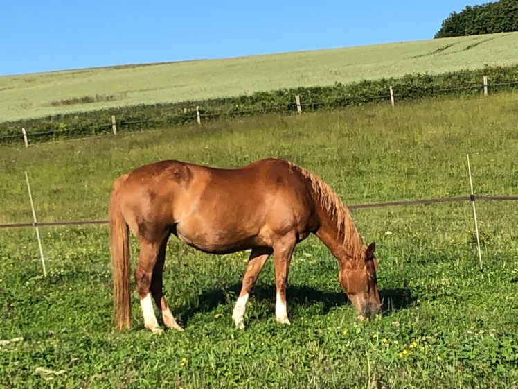 4CAEE896-B462-45C2-9B6C-BD6D96F97258