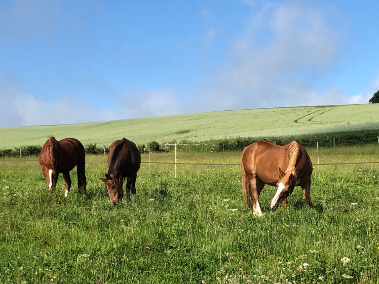 4D34CFCD-91AA-43CD-AEB6-69B878E8B02F