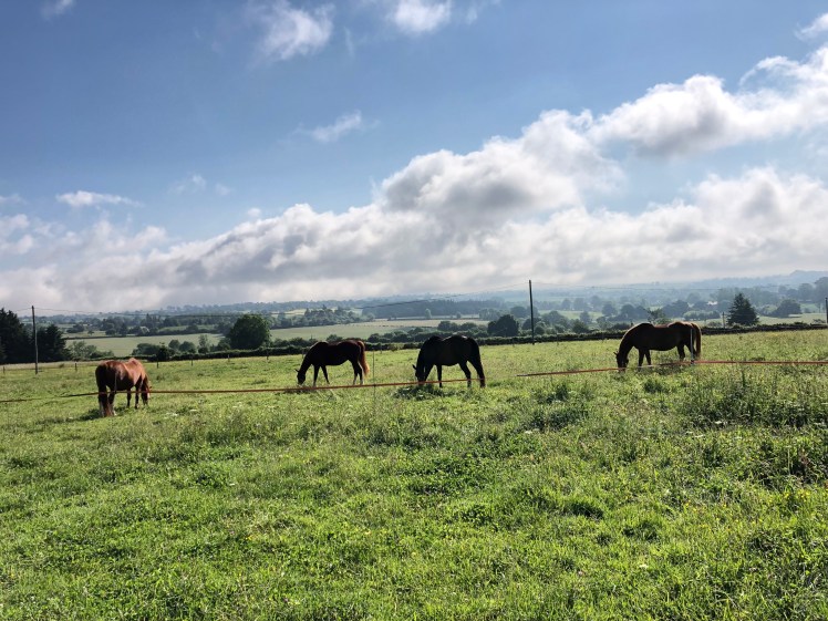 4DCCCF8C-569D-4499-AA03-F220DBCE0F66