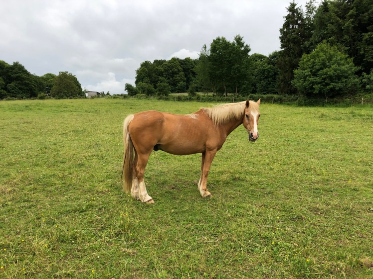 66CAF239-BCE0-456E-A824-6682C7EA5191