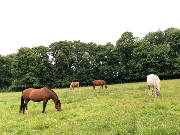 6B2DF0A3-8AFB-42F8-AD2A-D48BEEC4BDE8