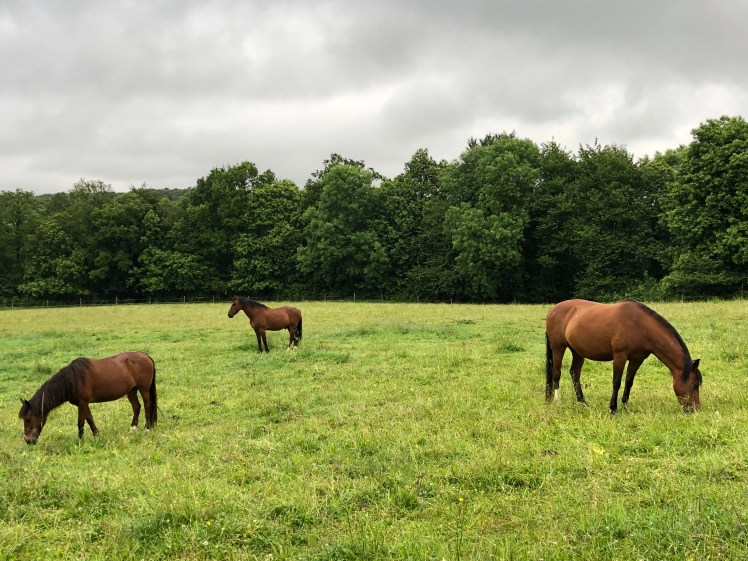 747BA238-1B13-4ECF-A212-084DF94C30B0