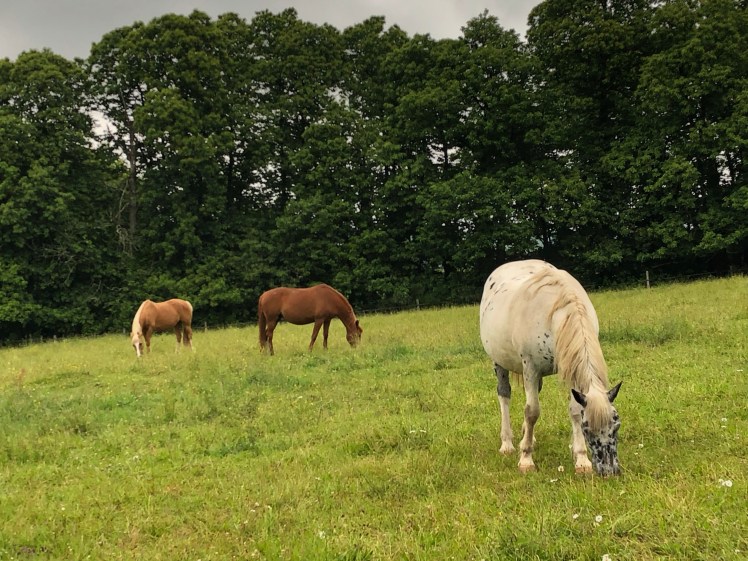 7EF68C5F-89C6-45A4-8977-8559A6266B6A