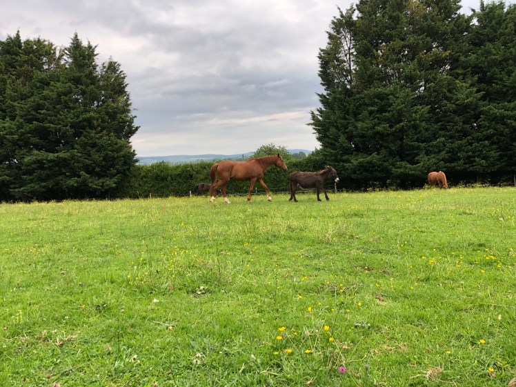 810FDB57-028E-4664-8885-34125DCCA1BE