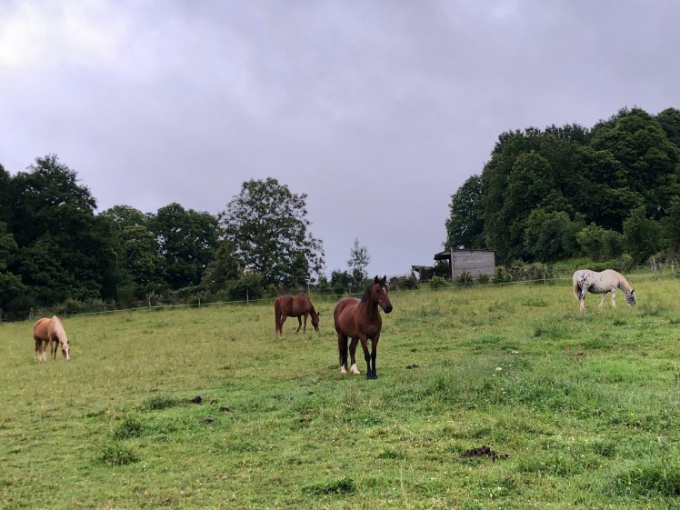 82555693-A0FD-4832-8DB8-ED4BF433DE66