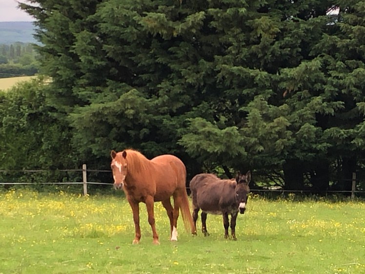 88559302-A3C1-4011-9021-85F4DD1DAA27