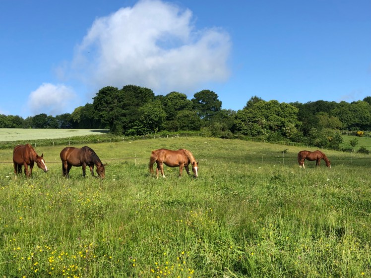 936DBC73-5CE7-48A1-9E83-9BA51D6114D3