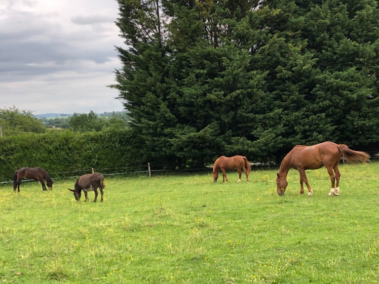 9E767F02-ECEC-4C8D-91DF-714D18D315DF