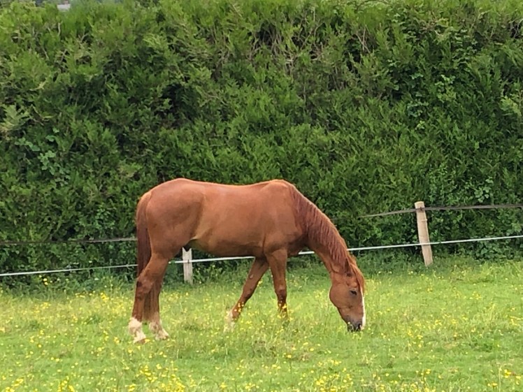 A39F6826-6F75-40EC-BD92-23183BF4BB1B