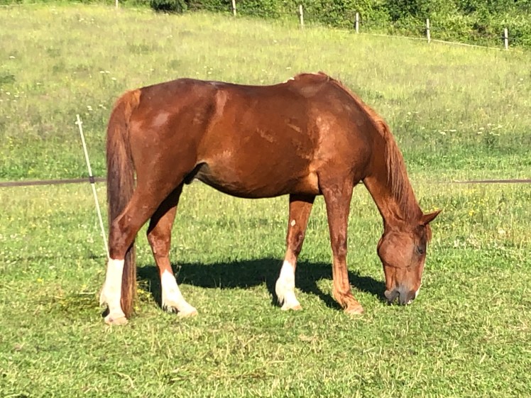 BD8A98A3-055B-4ED9-BDE3-6C7B9AEE292C