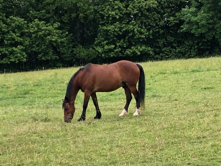 EA209ECB-B3AF-4617-882A-F5A658B1E866