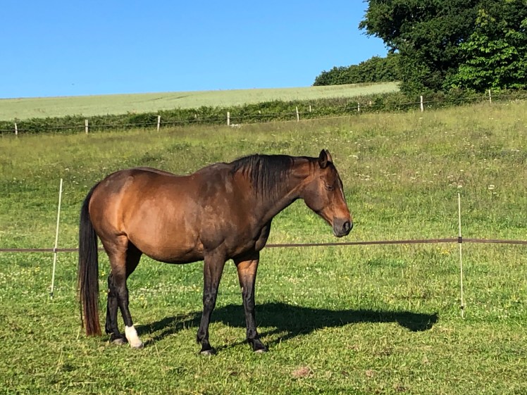 EF7ED7AA-15A5-4756-BABB-CE8EBCD5B2D9