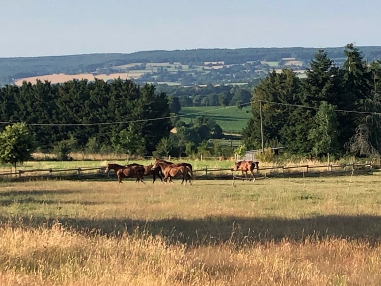 03B7B490-E0CC-4957-87C2-0EBCA69BE2A9