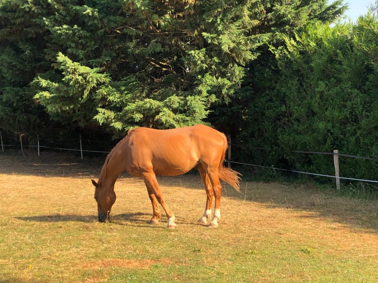 04F11B2D-30FA-4D4C-8BBA-298DECAE13DA