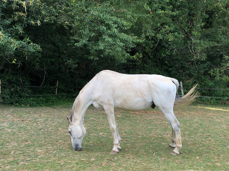 092529F1-FAFB-41A4-A497-73FBD065AFED