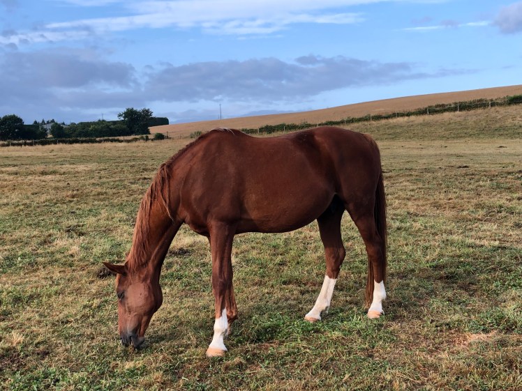 0C9B6ED4-2F4A-4224-B6C7-3588336DBEF7