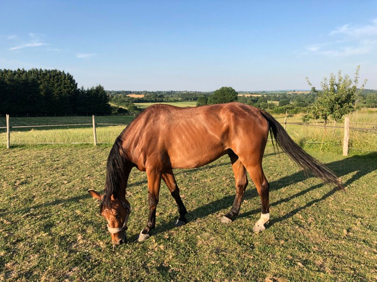 104E6692-2211-4F5E-BEA8-CA1490F5A876