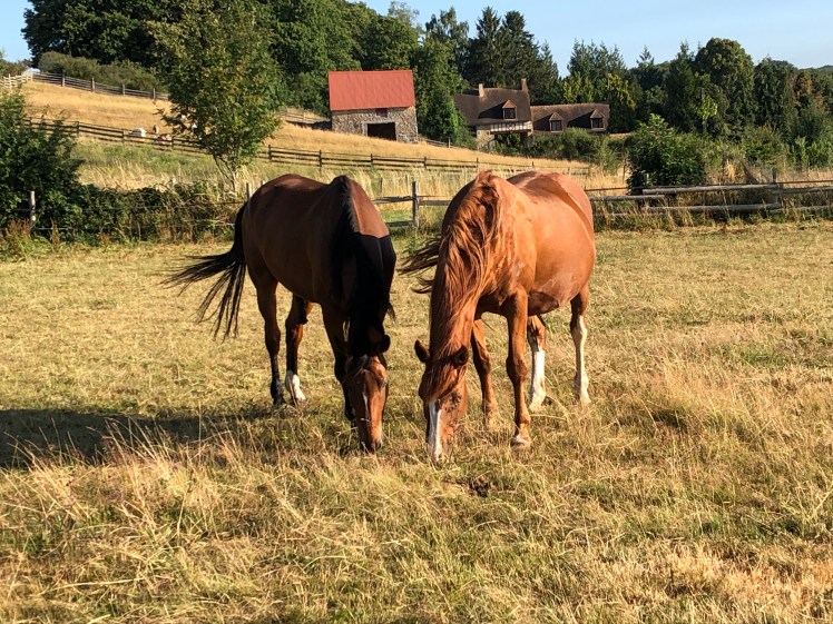 11EA6CC9-00EE-4C3D-B0DB-9D5731FBD85F