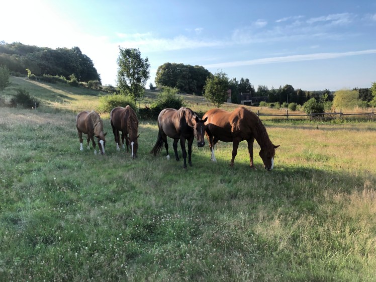 2BD824EB-1C46-4759-9B79-C5778A94F88E