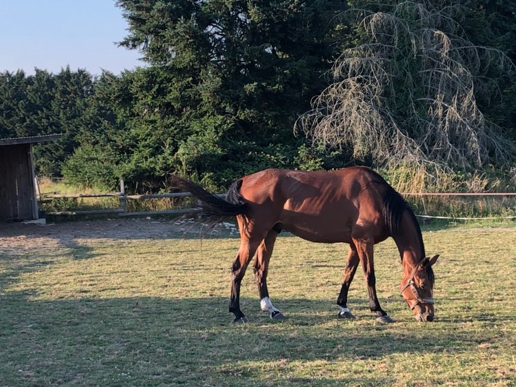 2E6ECDE4-6EB1-45B5-A9FB-3DDACF3EF814