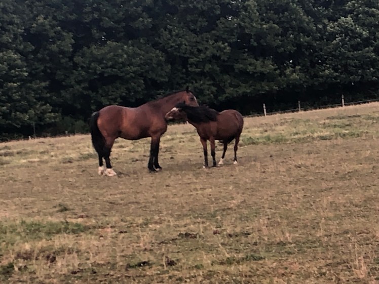 42BC5FBD-905B-43A1-BB70-74686C16A048