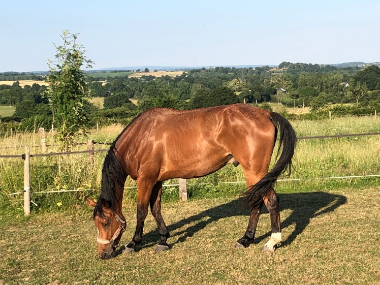 479BEB4B-4BC4-44B1-8EE9-672D8CF16A6E