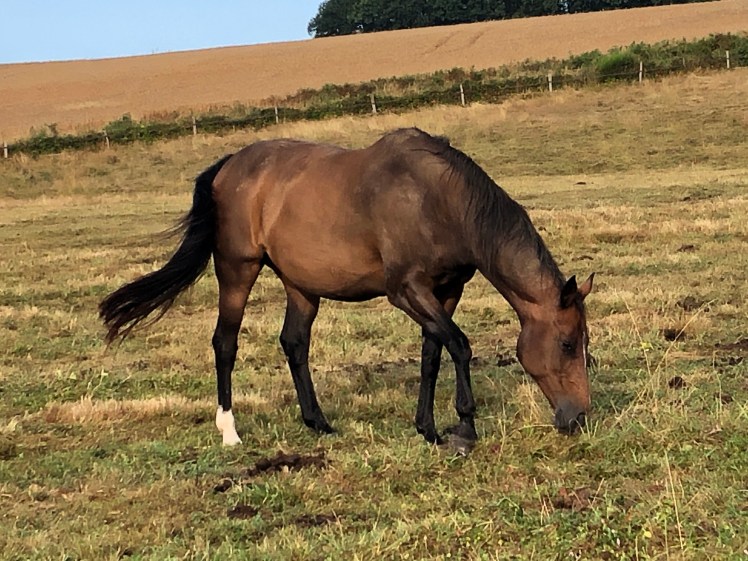 48F591ED-3599-42B5-A4E8-6DB1022B3372