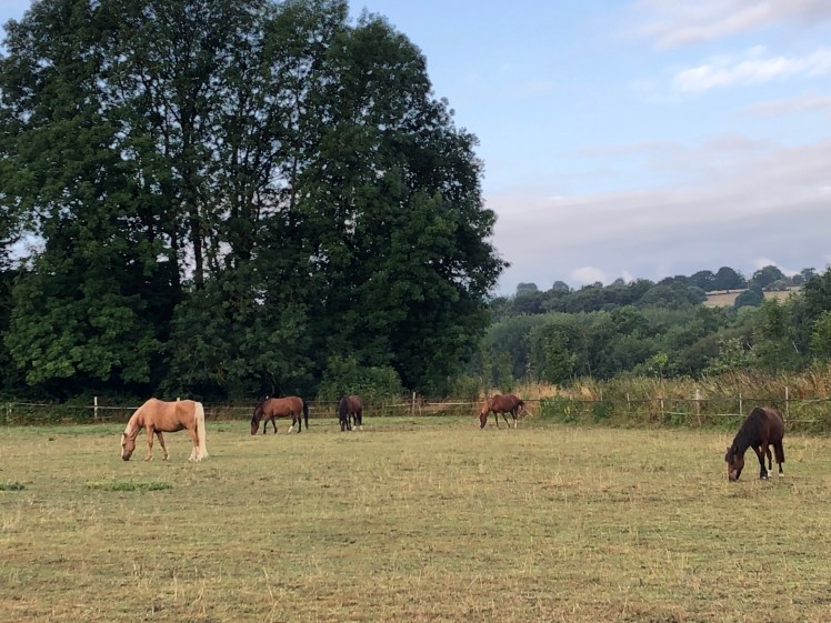 4938D79F-F6D7-4D3F-BB2A-06DC13071618