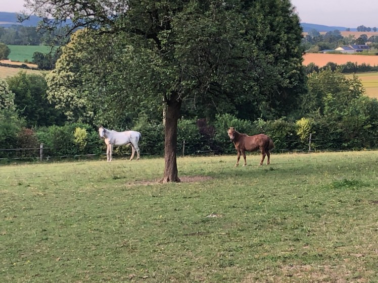 4E2CD932-8F47-4145-A944-EC1414DDAF47