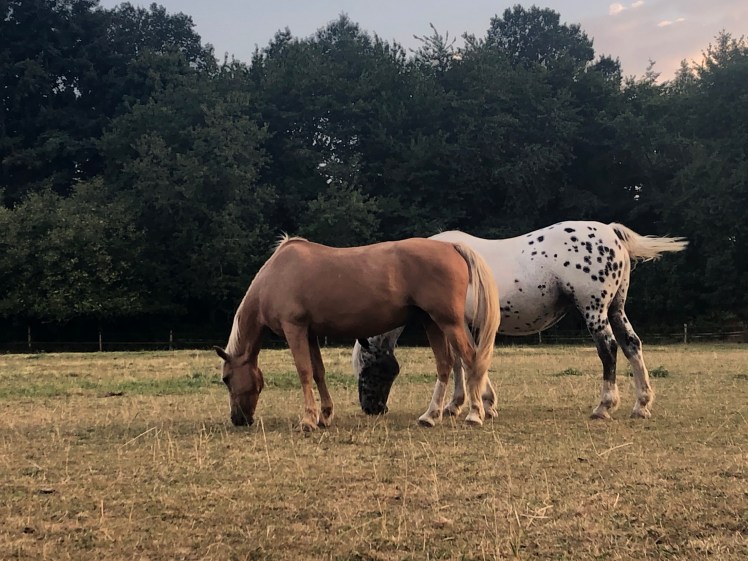 5B546D34-6D36-4EB2-829B-DFD9E5BB727E