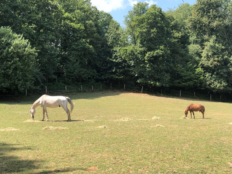 6D8E6DAA-8AAE-463C-874E-80C1072102D5