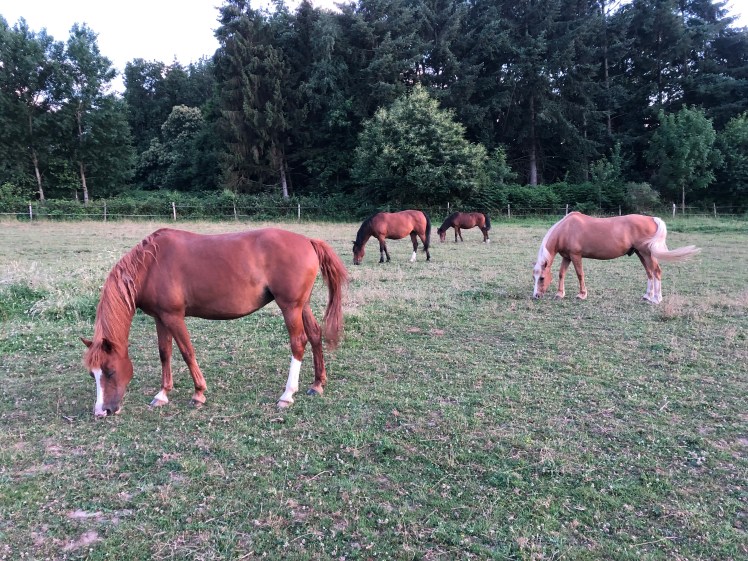 7676F34A-3E35-45F9-8494-6B8384FDB8E1