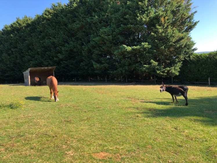 78A21985-AA1D-47F9-9CE1-4533727E6FB4