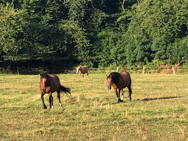 78DF0A17-81A1-4420-B1AB-EFA61396291B