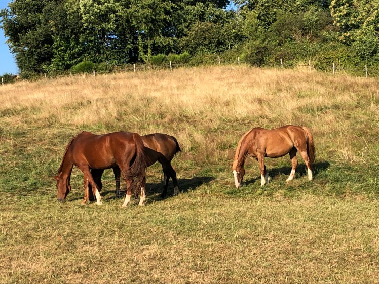 7BD12C0A-A06F-4824-BB74-C08246633553