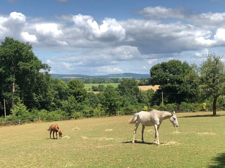 7C61DAEB-1F41-452C-A40E-EA4336ECBBCA