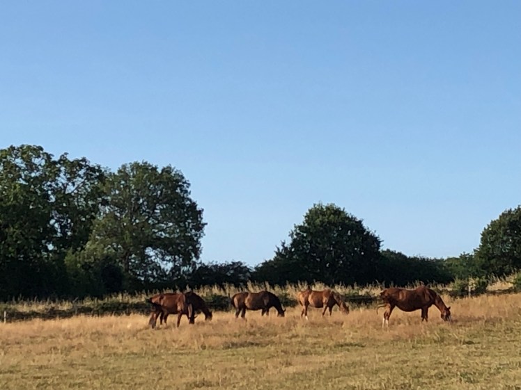 92533BB4-C0A2-499B-A068-CE451AA49AE0