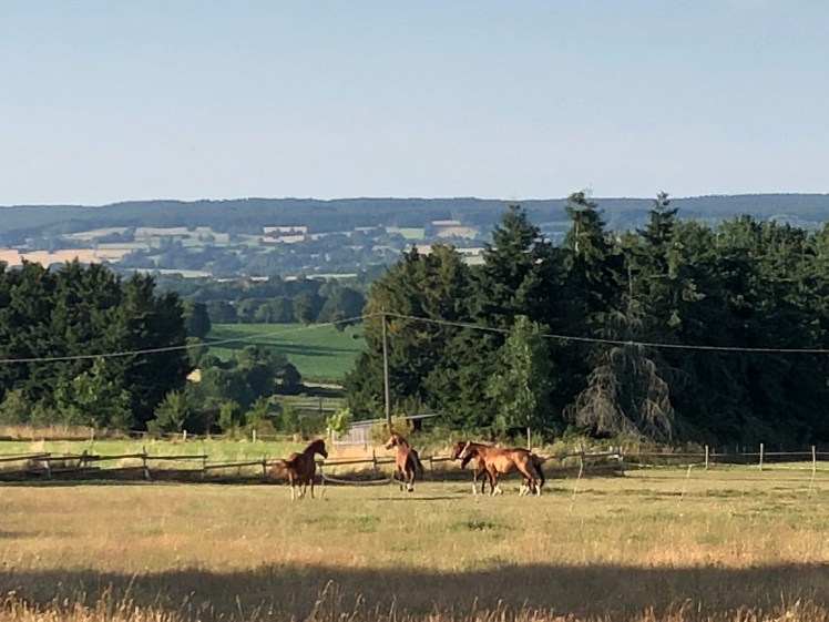 96828F23-B4A4-432E-9EA0-835BB2522DAD