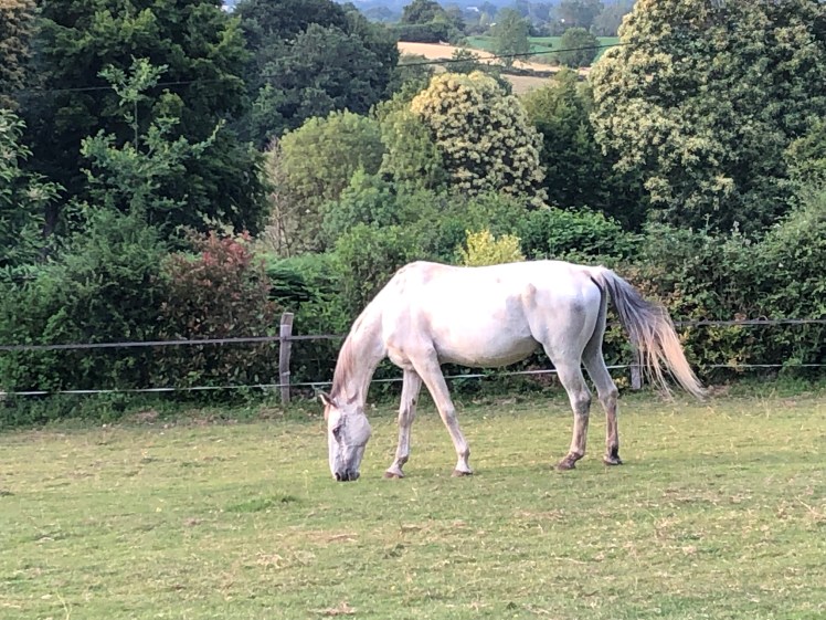 AFE87A58-CDD3-4134-8DB5-5433F3D6BC3D