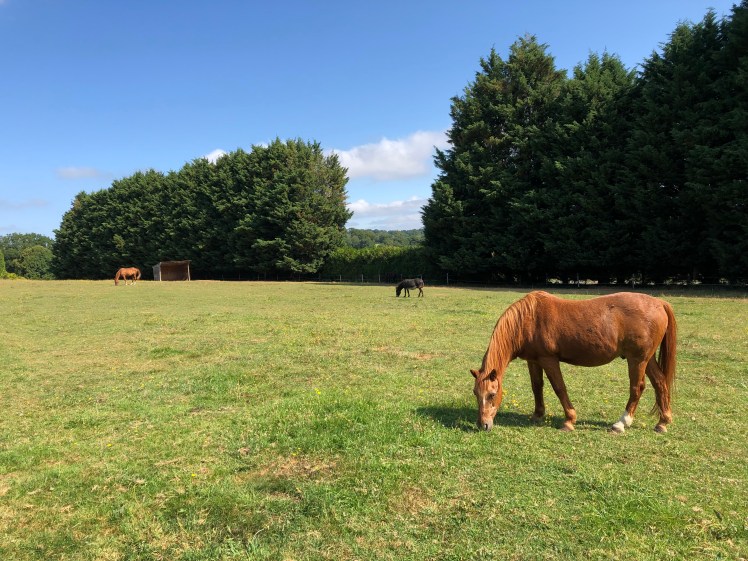 B22016CA-C94B-4290-A96A-2A76C47A54FA