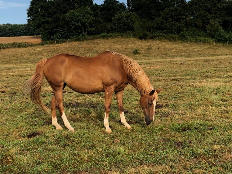 B7E9721F-7BBD-4EA6-A724-FEADC4294434